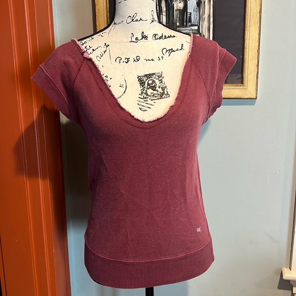 American Eagle Outfitters Deep-V Short-Sleeved Sweatshirt (XS)